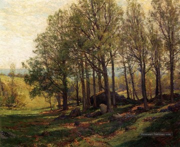 Érables au printemps paysage Hugh Bolton Jones Peinture à l'huile